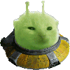 Alien cat